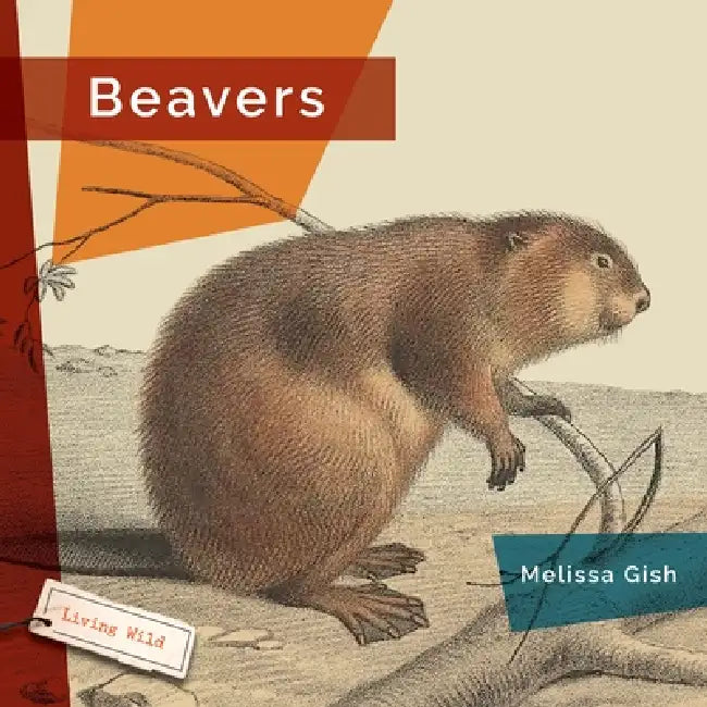 Beavers by Melissa Gish