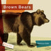 Brown Bears by Melissa Gish