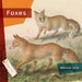 Foxes by Melissa Gish