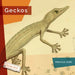 Geckos by Melissa Gish