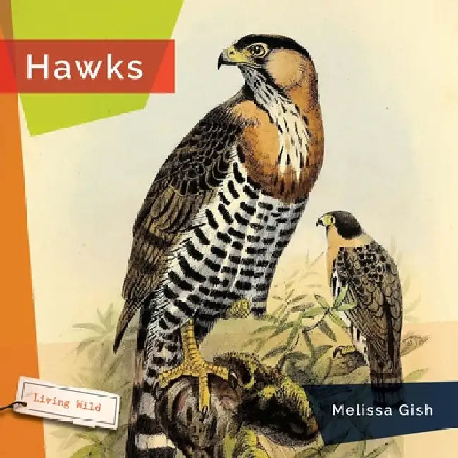 Hawks by Melissa Gish