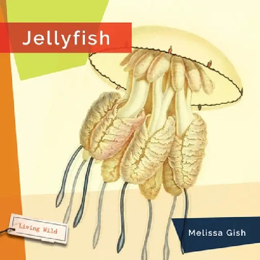 Jellyfish by Melissa Gish