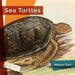 Sea Turtles by Melissa Gish