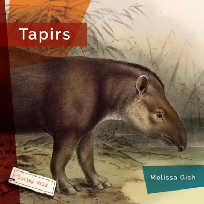 Tapirs by Melissa Gish