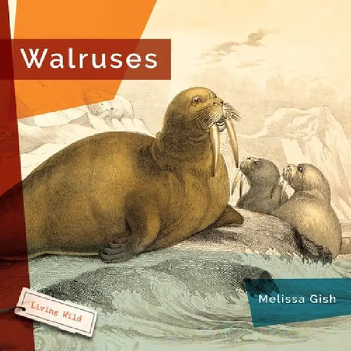 Walruses by Melissa Gish