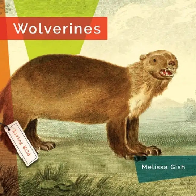Wolverines by Melissa Gish