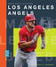 Los Angeles Angels by Michael E. Goodman