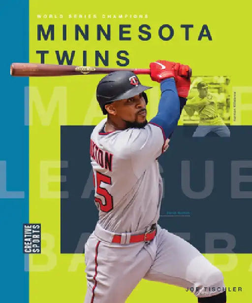 Minnesota Twins by Joe Tischler