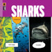 Sharks by Kate Riggs