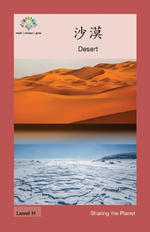 沙漠: Desert by Washington Yu Ying Pcs