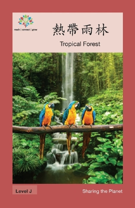熱帶雨林: Tropical Forest by Washington Yu Ying Pcs