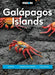 Moon Galápagos Islands: Wildlife, Snorkeling & Diving, Tour Advice by Lisa Cho