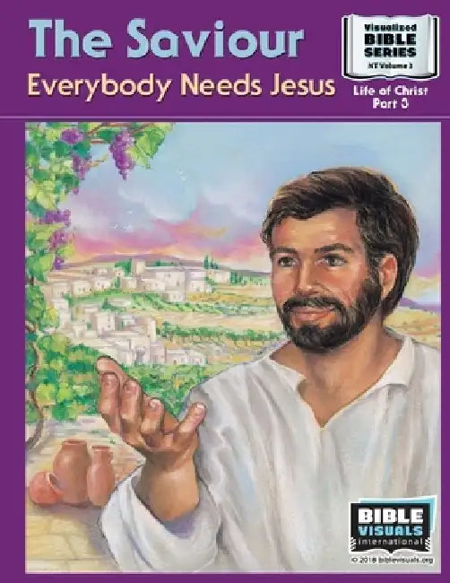 The Saviour: Everybody Needs Jesus: New Testament Volume 3: Life of Christ Part 3 by Ruth B. Greiner