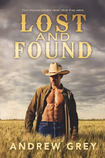 Lost and Found by Andrew Grey