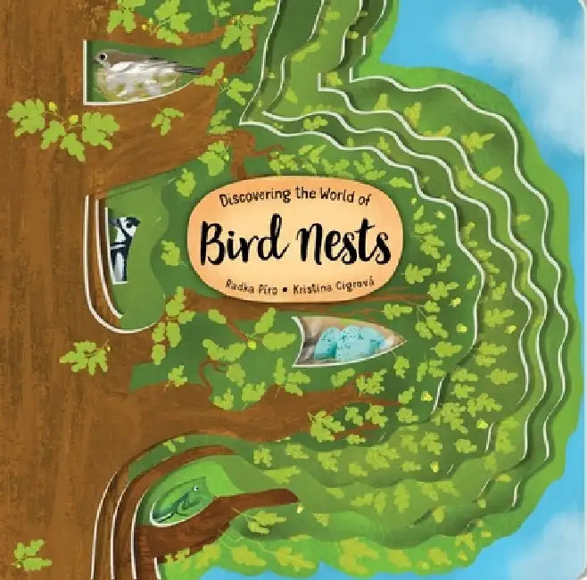Peek Inside Bird Nests by Radka Piro