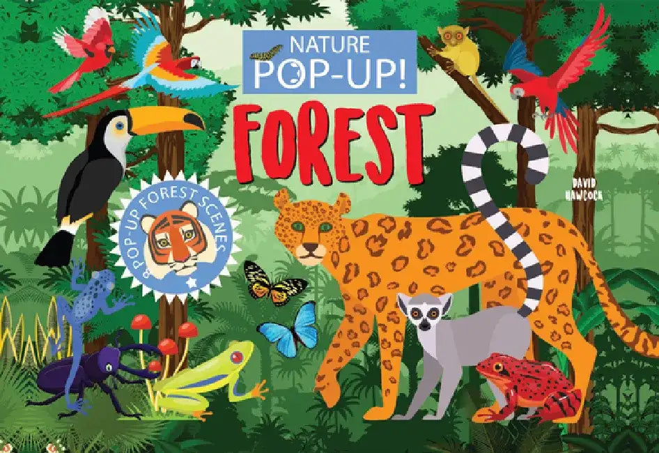 Nature Pop-Up! Forests: 8 Pop-Up Forest Scenes by David Hawcock