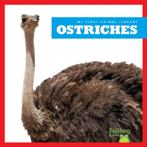 Ostriches by Penelope S. Nelson