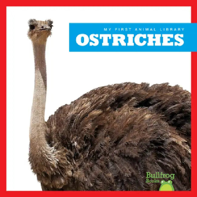 Ostriches by Penelope S. Nelson