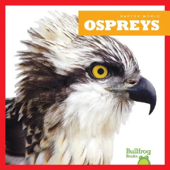 Ospreys by Gleisner, Jenna Lee