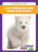 Las Crías de Los Osos Polares (Polar Bear Cubs) by Genevieve Nilsen