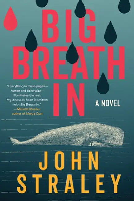 Big Breath in by John Straley