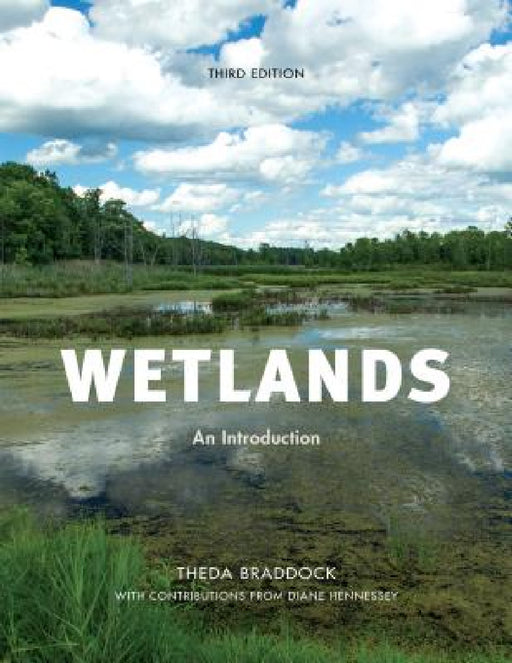 Wetlands: An Introduction by Theda Braddock, Dianne Hennessey