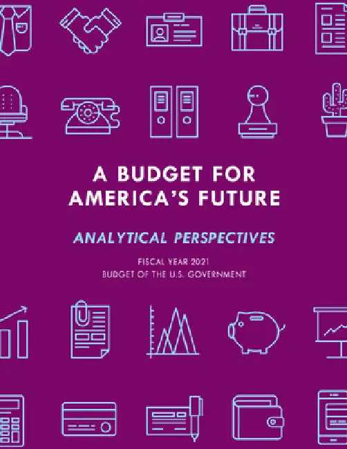 Budget for America's Future: Analytical Perspectives, Budget of the U.S. Government, Fiscal Year 2021 by Executive Office of the President