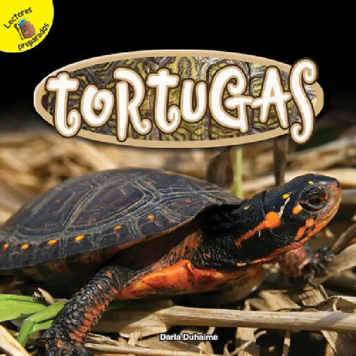 Tortugas: Turtles by Darla Duhaime
