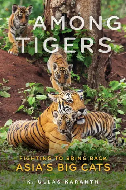 Among Tigers: Fighting to Bring Back Asia's Big Cats by K. Ullas Karanth