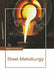 Steel Metallurgy by Molly Hamilton