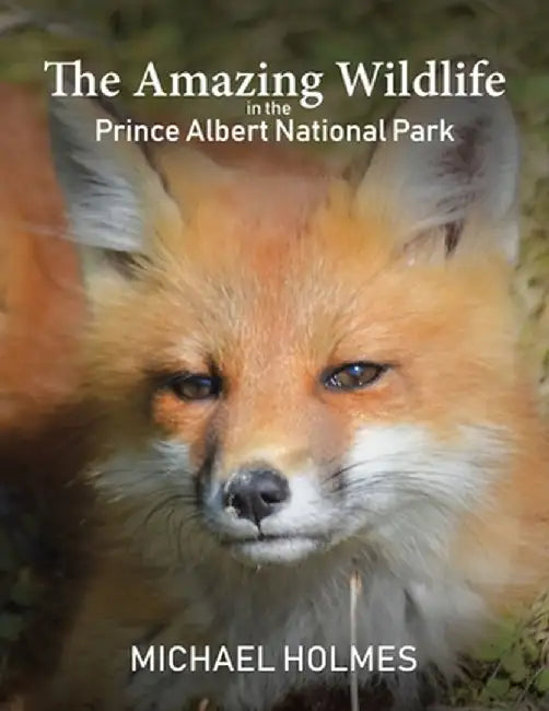 The Amazing Wildlife in the Prince Albert National Park by Michael Holmes