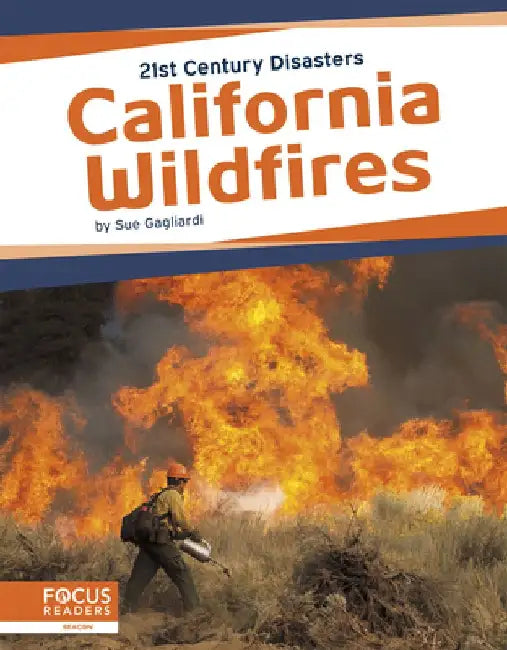 California Wildfires by Sue Gagliardi