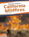 California Wildfires by Sue Gagliardi