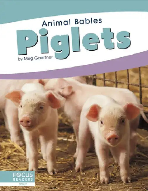 Piglets by Meg Gaertner