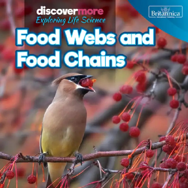 Food Webs and Food Chains by Ernest Brazzos