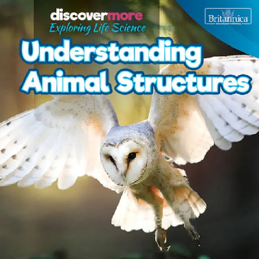 Understanding Animal Structures by Ernest Brazzos