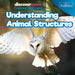 Understanding Animal Structures by Ernest Brazzos