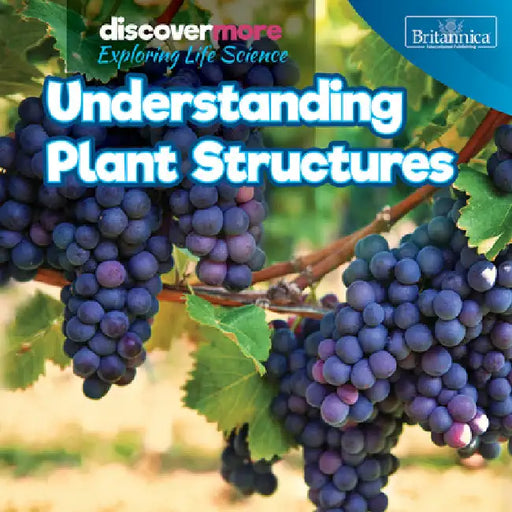Understanding Plant Structures by Ernest Brazzos