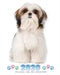 2020 Shih Tzu Planner  Weekly  Daily  Monthly Uk Edition