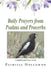 Daily Prayers from Psalms and Proverbs by Patricia Hollomon