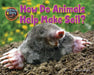 How Do Animals Help Make Soil? by Ellen Lawrence