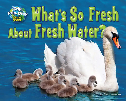 What's So Fresh about Fresh Water? by Ellen Lawrence