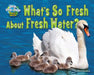 What's So Fresh about Fresh Water? by Ellen Lawrence