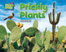 Prickly Plants: Stuck! by Ellen Lawrence