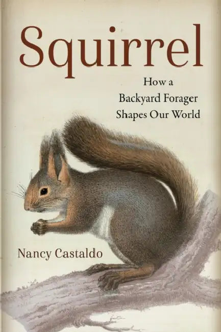 Squirrel: How a Backyard Forager Shapes Our World by Nancy Castaldo