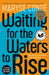 Waiting for the Waters to Rise by Maryse Condé