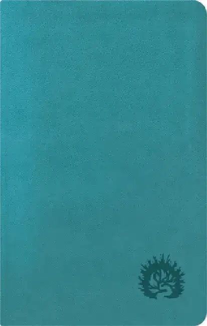ESV Reformation Study Bible, Condensed Edition - Turquoise, Leather-Like by R. C. Sproul