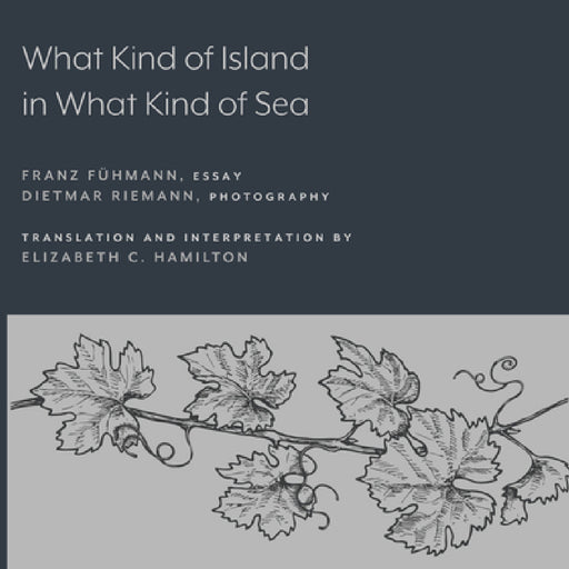 What Kind of Island in What Kind of Sea? by Franz Fühmann, Elizabeth C. Hamilton