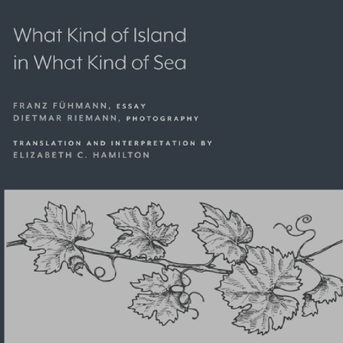 What Kind of Island in What Kind of Sea? by Franz Fühmann, Elizabeth C. Hamilton