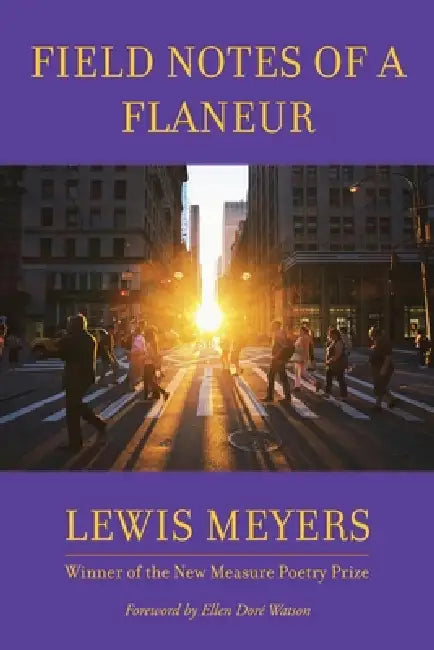 Field Notes of a Flaneur by Lewis Meyers